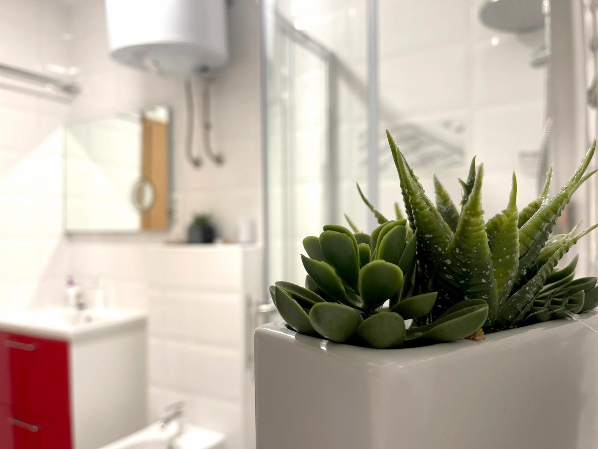 Roma Trogir Apartment Luaran gambar
